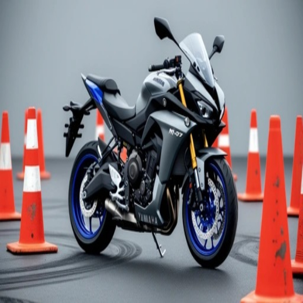 A motorbike with cones